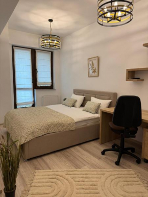 Luxury Studios Iasi